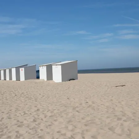 De Sloep A0402 Sea View * 코크시데